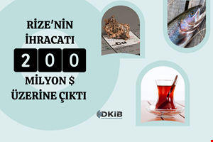 RİZE'NİN İHRACATI 200 MİLYON $ ÜZERİNE ÇIKTI